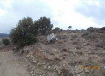 Pentalia, Paphos Agricultural Field For Sale | WW23133