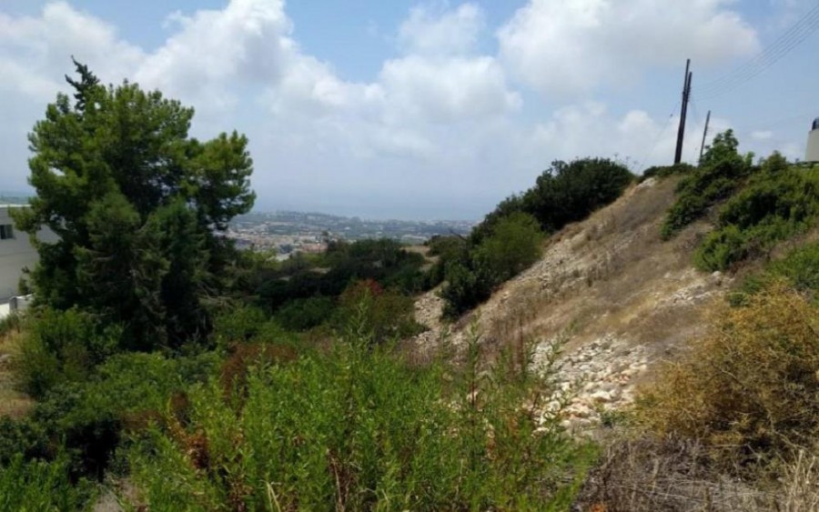 Field in Pegeia, Paphos