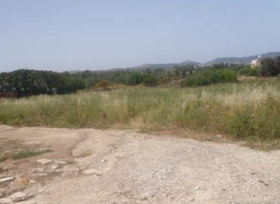 Polis Chrysochous Residential Field For Sale | WW23195