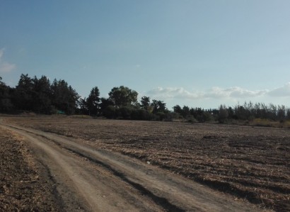 Polis Chrysochous Residential Plot For Sale | WW23196