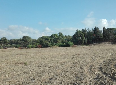 Polis Chrysochous Residential Plot For Sale | WW23197