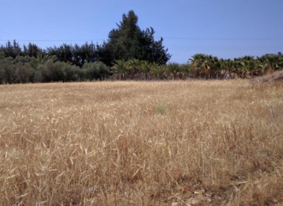 Kouklia, Paphos Residential Field For Sale | WW23249