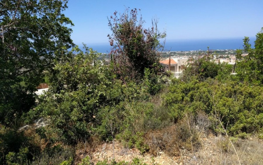 Tala, Paphos Residential Field For Sale | WW23271