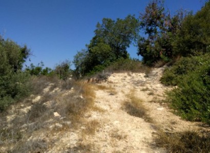 Tala, Paphos Residential Field For Sale | WW23271