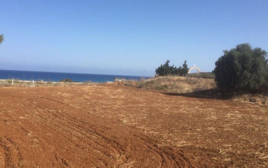Nea Dimmata, Paphos Residential Field For Sale | WW23285