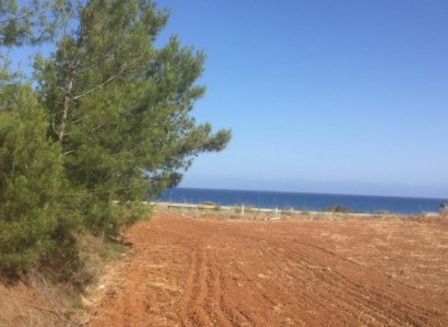 Nea Dimmata, Paphos Residential Field For Sale | WW23285