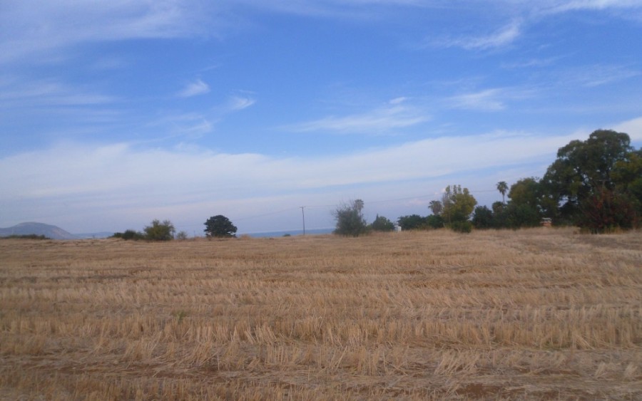 Polis Chrysochous Residential Field For Sale | WW23294