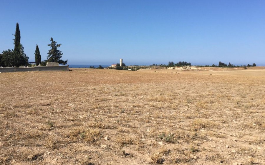 Timi, Paphos Residential Field For Sale | WW23296