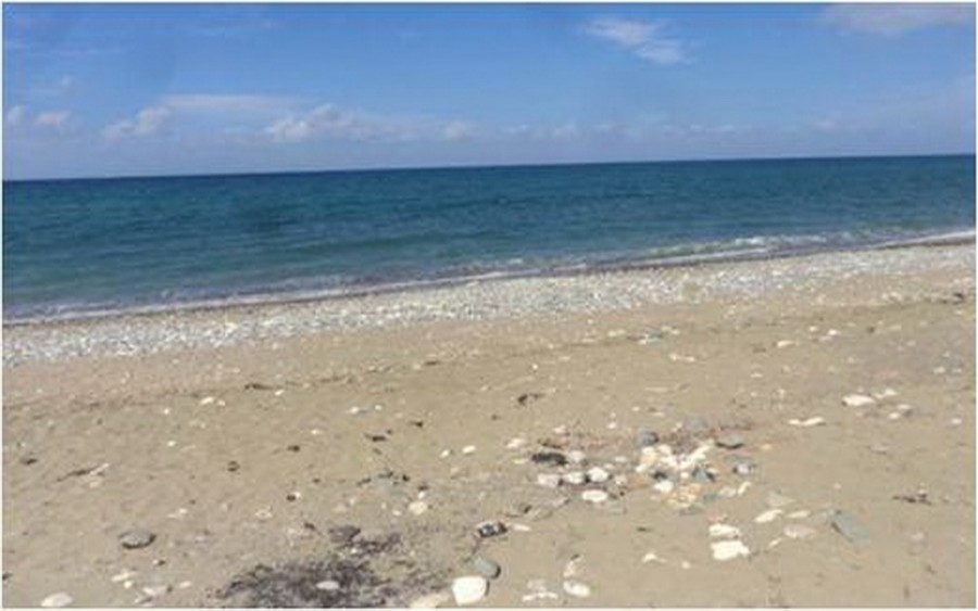 Polis Chrysochous Touristic Field For Sale | WW23304