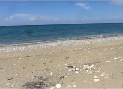 Polis Chrysochous Touristic Field For Sale | WW23304