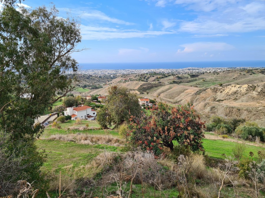 Armou, Paphos Residential Field For Sale | WW8315