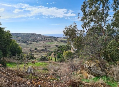 Armou, Paphos Residential Field For Sale | WW8315