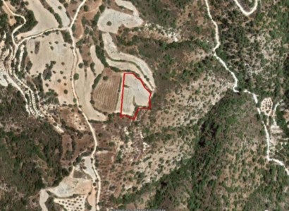 Amargeti, Paphos Residential Field For Sale | WW23414