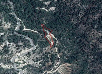 Arminou, Paphos Agricultural Field For Sale | WW23463