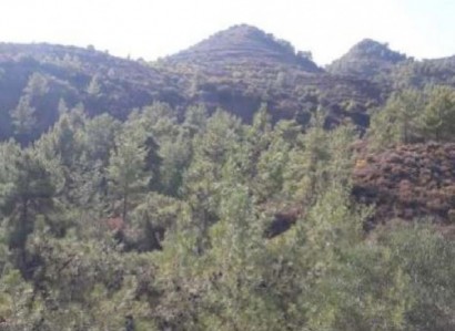 Ayios Mamas, Limassol Agricultural Field For Sale | WW23469