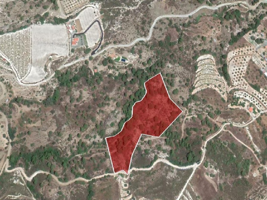 Field – Agios Mamas, Limassol