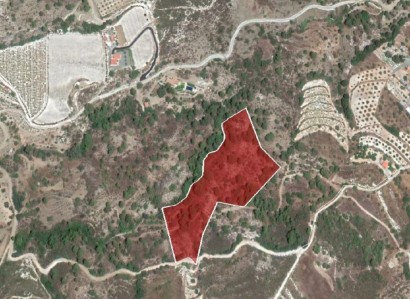 Ayios Mamas, Limassol Agricultural Field For Sale | WW23469