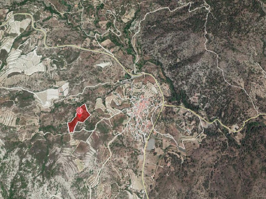 Field – Agios Mamas, Limassol