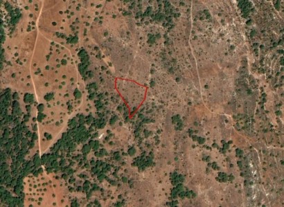 Kathikas, Paphos Residential Field For Sale | WW23478