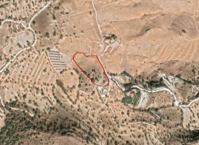 Nata, Paphos Residential Field For Sale | WW23479