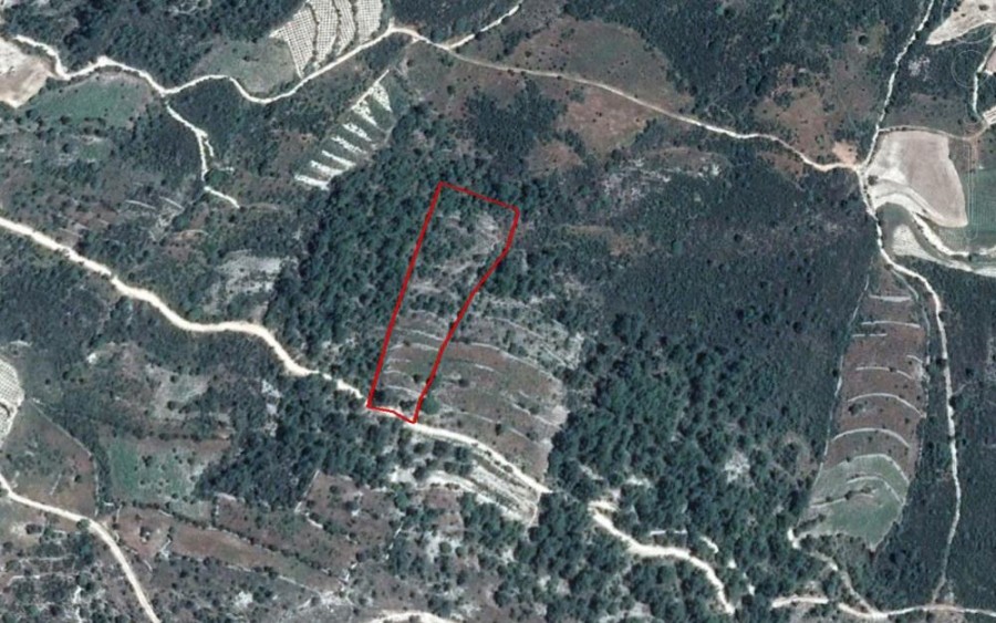 Mesana, Paphos Residential Field For Sale | WW23483