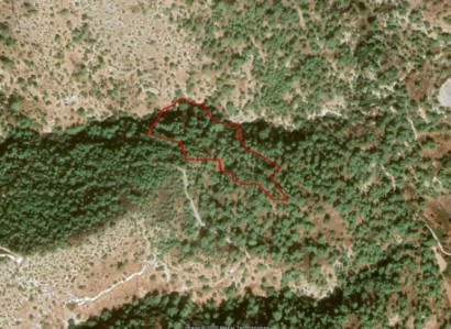 Eledio, Paphos Residential Field For Sale | WW23484