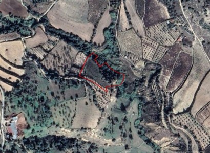 Kallepeia, Paphos Residential Field For Sale | WW23489