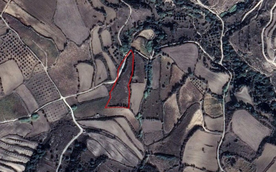 Thrinia, Paphos Residential Field For Sale | WW23491