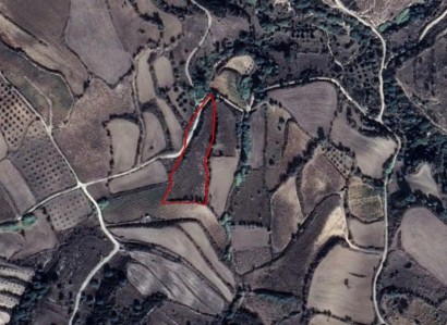 Thrinia, Paphos Residential Field For Sale | WW23491