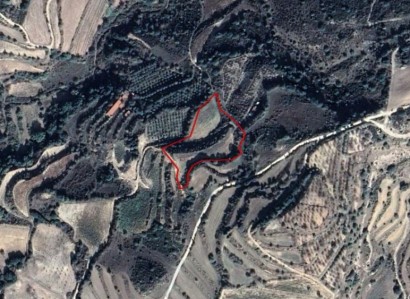 Lemona, Paphos Residential Field For Sale | WW23492