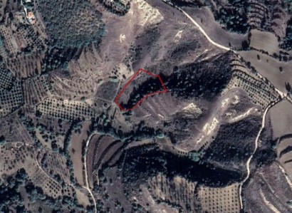 Giolou, Paphos Residential Field For Sale | WW23496