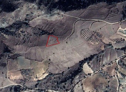 Statos-Agios Fotios Residential Field For Sale | WW23528