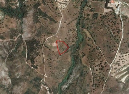 Trachypedoula, Paphos Residential Field For Sale | WW23530