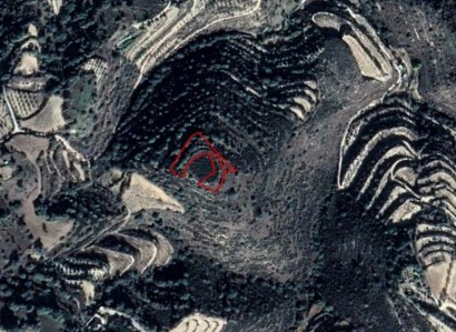 Koili, Paphos Residential Field For Sale | WW23532