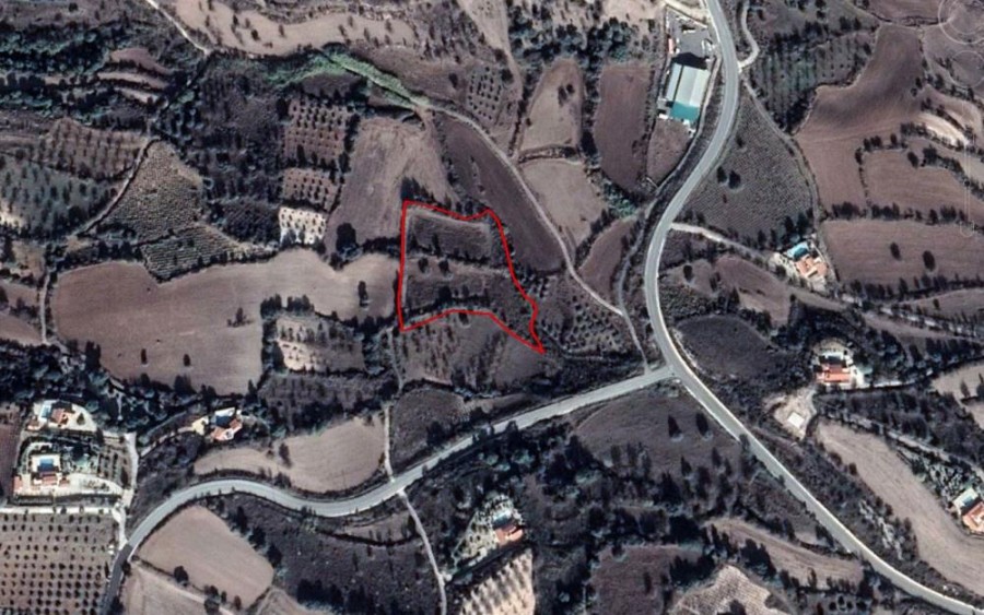 Drymou, Paphos Agricultural Field For Sale | WW23542