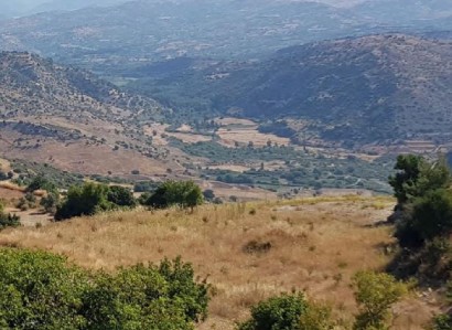 Episkopi, Paphos Agricultural Field For Sale | WW23548