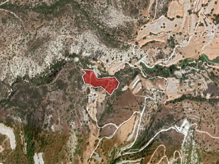 Field –  Episkopi, Paphos