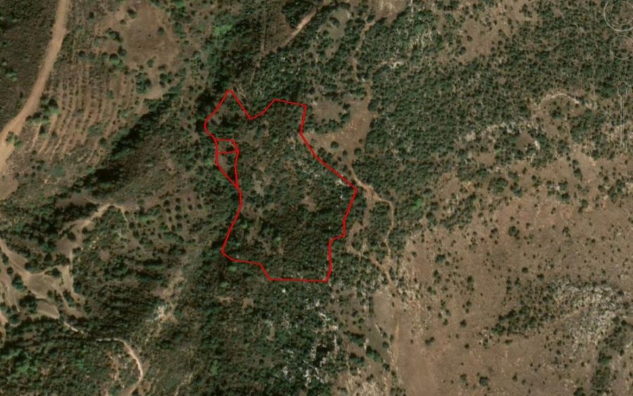 Neo Chorio, Paphos Residential Field For Sale | WW23553