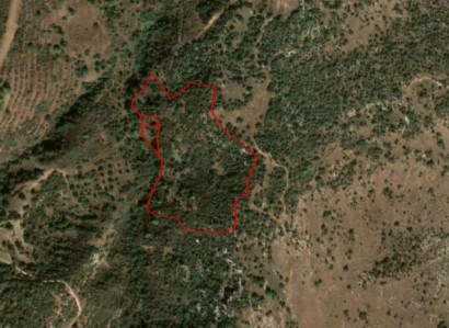 Neo Chorio, Paphos Residential Field For Sale | WW23553