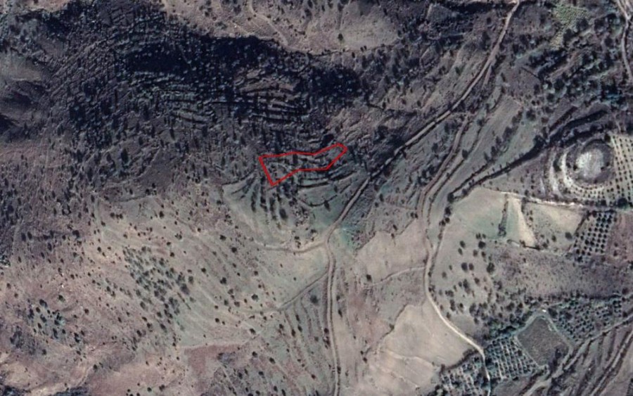 Statos-Agios Fotios Agricultural Field For Sale | WW23627