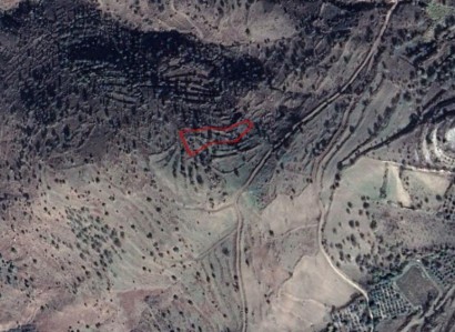 Statos-Agios Fotios Agricultural Field For Sale | WW23627
