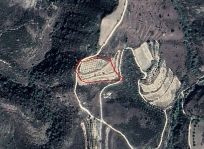 Stroumbi, Paphos Agricultural Field For Sale | WW23641