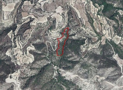 Amargeti, Paphos Residential Field For Sale | WW23721