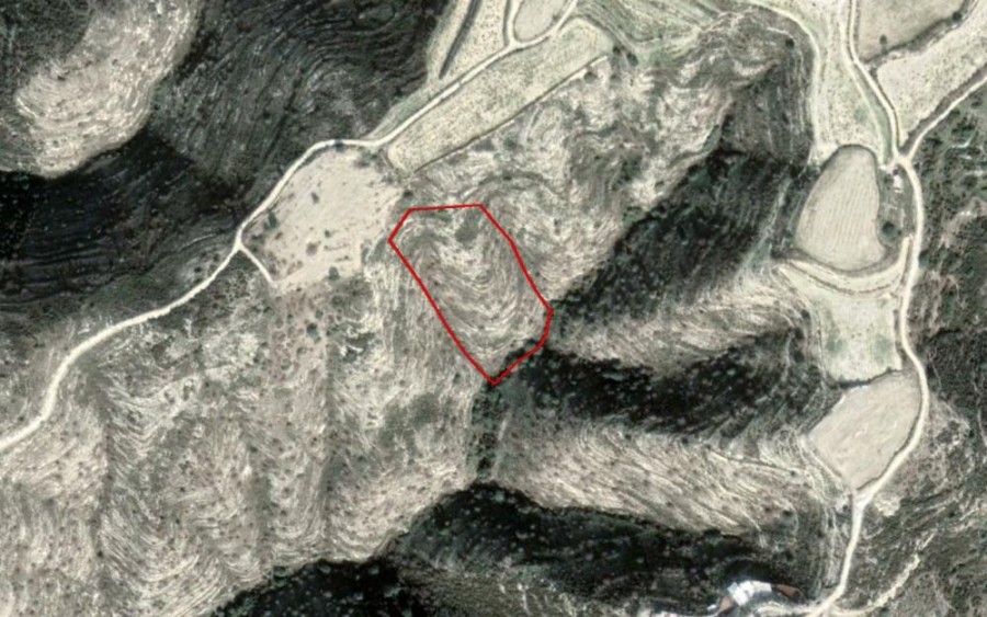 Akoursos, Paphos Agricultural Field For Sale | WW23767