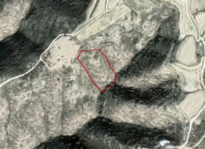 Akoursos, Paphos Agricultural Field For Sale | WW23767