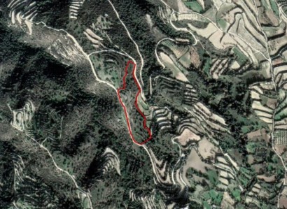 Koili, Paphos Agricultural Field For Sale | WW23777