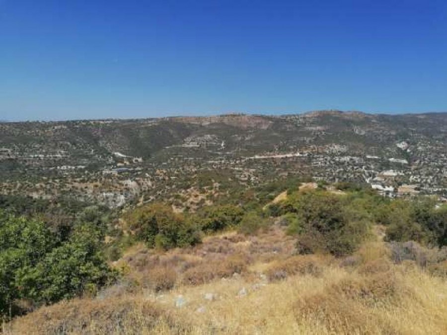 Field - Limnatis, Limassol