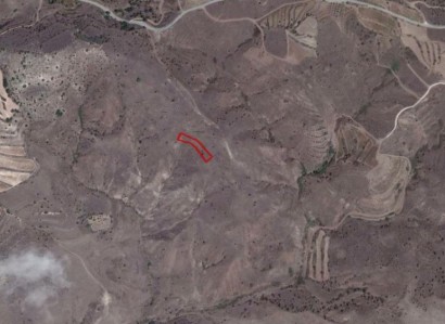Statos-Agios Fotios Agricultural Field For Sale | WW23938