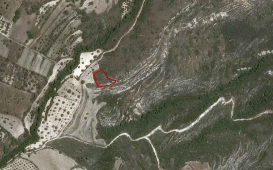 Kritou Tera, Paphos Agricultural Field For Sale | WW23940