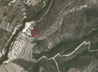 Kritou Tera, Paphos Agricultural Field For Sale | WW23940
